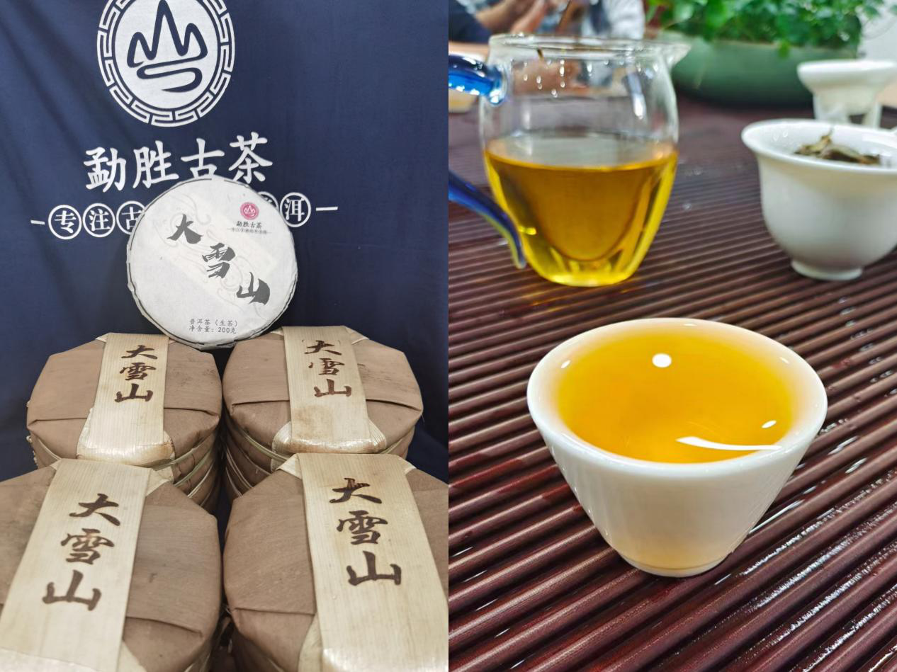2023第19屆上海國際茶葉交易會【中國茶博會】