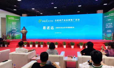 廬州好茗，天下共飲！2023太原茶博會合肥專場推介會成功舉行